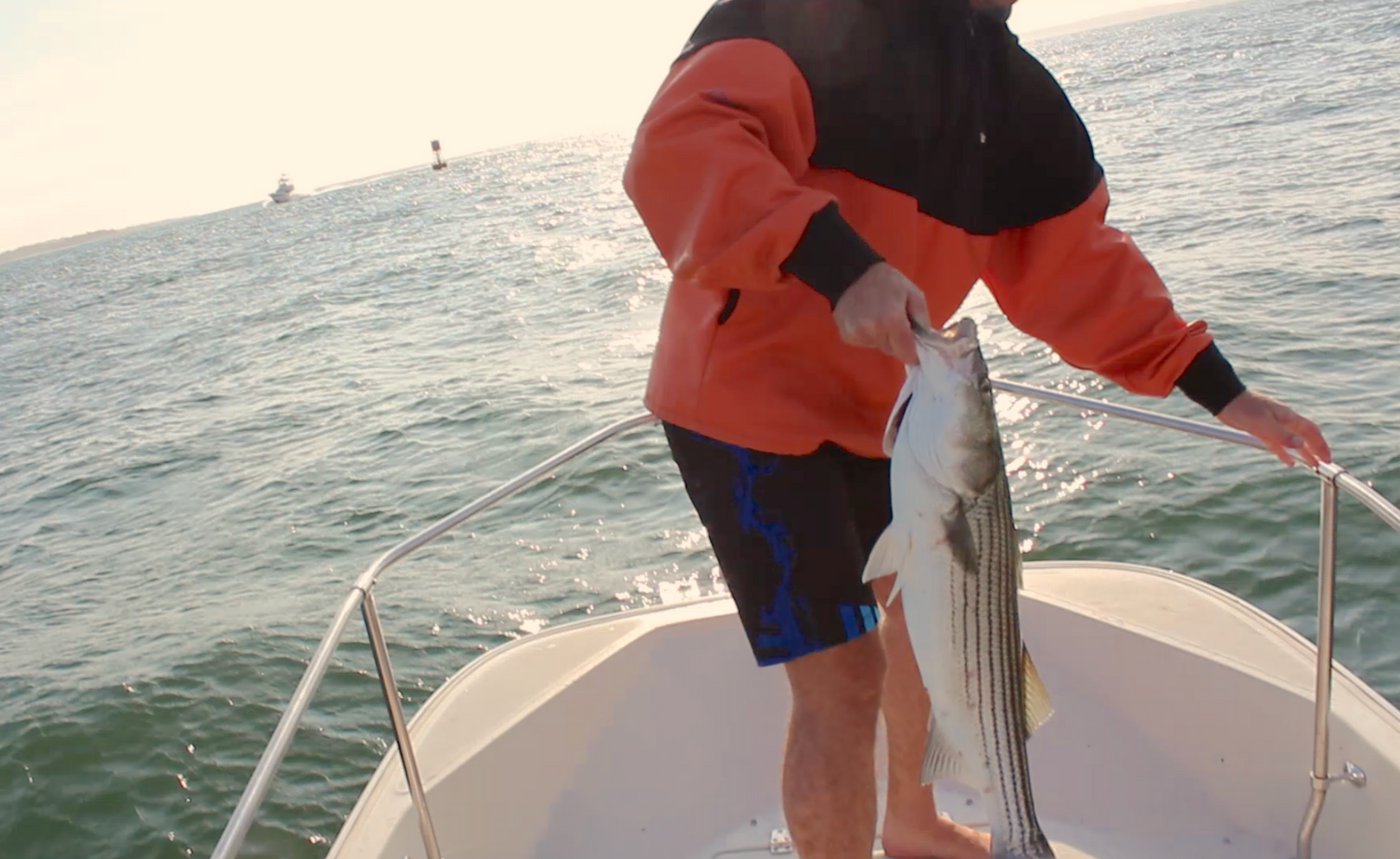 CT River Boardshorts